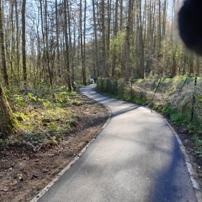 Le rêve s'est réalisé au bois !